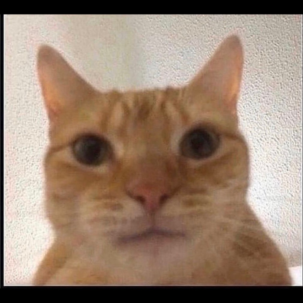 Meet your Posher, Darin